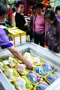 廣州66個檔口開售冰鮮雞，市民反應(yīng)各異 有人觀望，有人直呼“太貴了！”