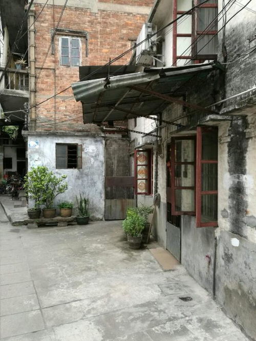 尋街市 在老廣州的煙火氣中打撈城市記憶